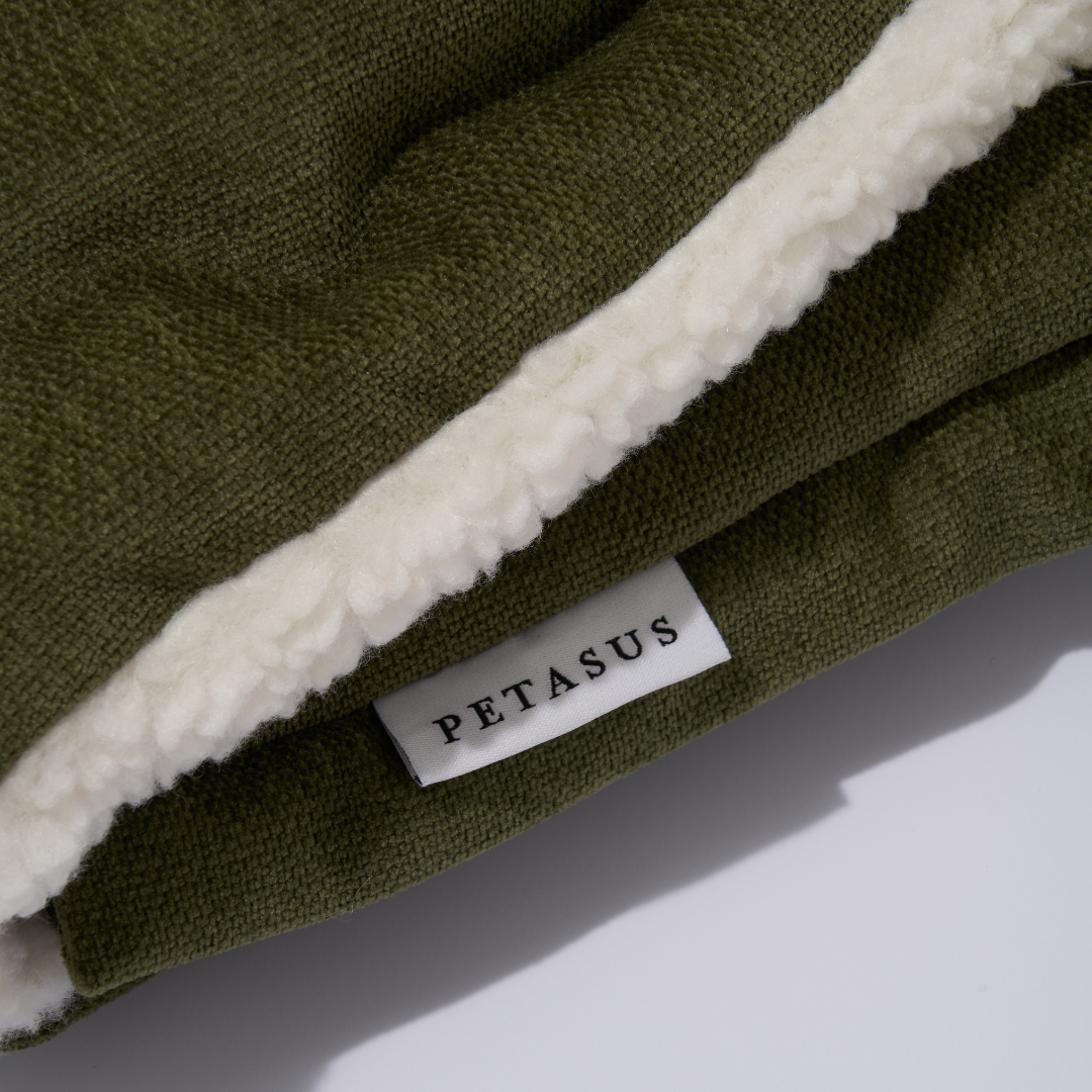 Sleeping Bag